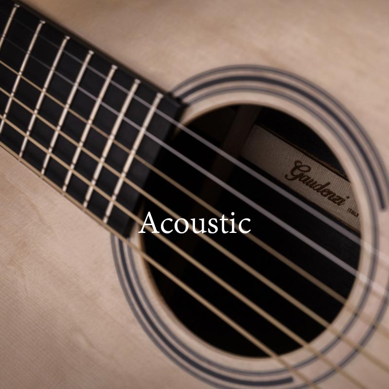gaudenzi-acoustic